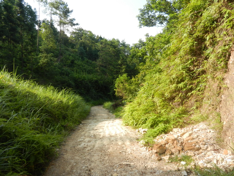 DSCN0572.JPG