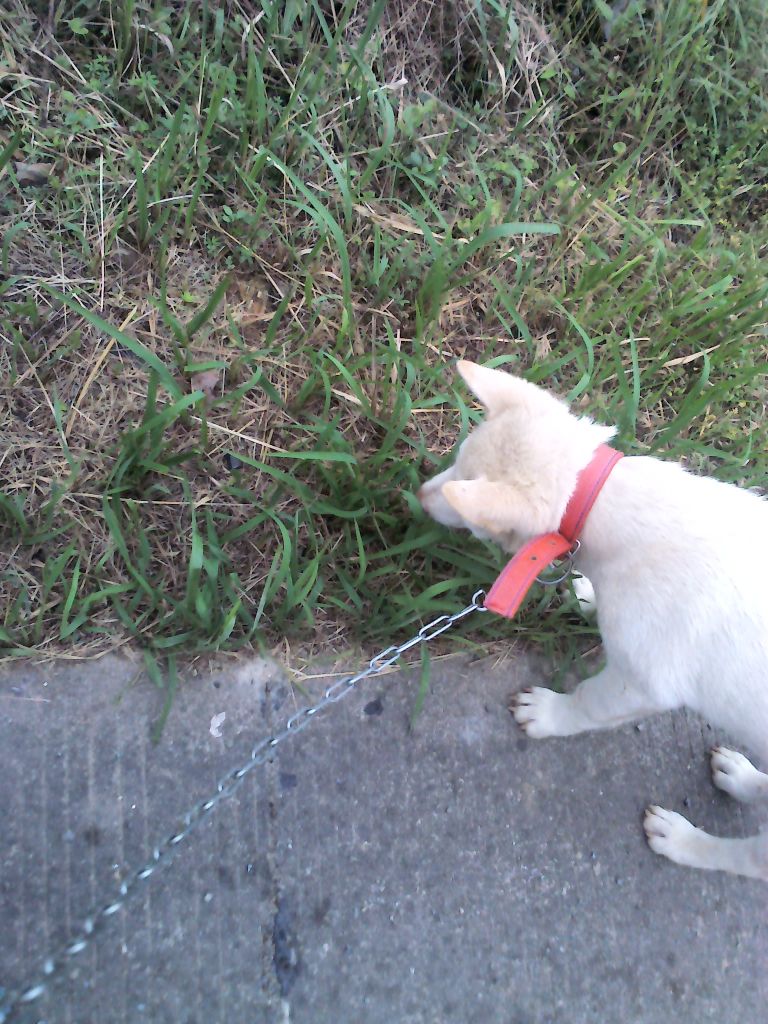 YP20120611171525.jpeg