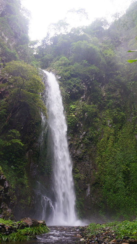 DSC06600.jpg