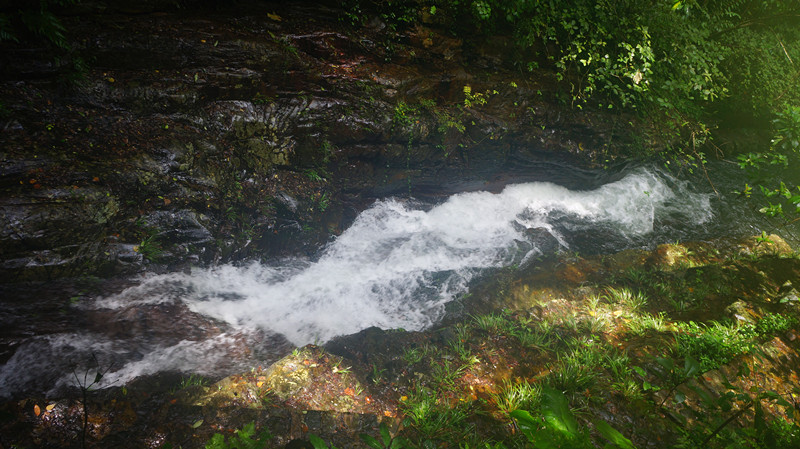 DSC06896.jpg