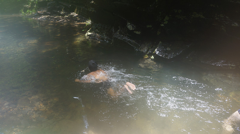 DSC06960.jpg