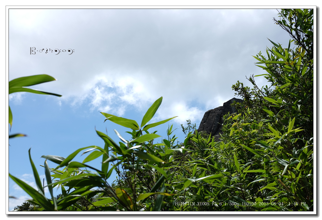DSCF7271__.jpg