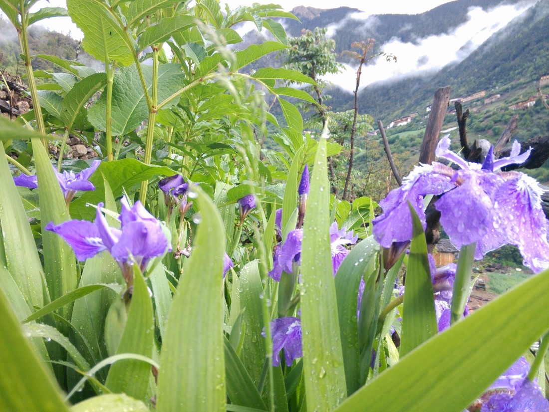 2013-06-04_0002.jpg
