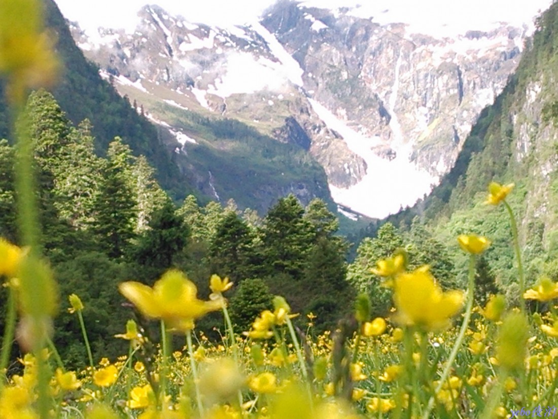 2013-06-04_0038.jpg