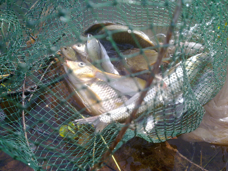 20130706065.jpg