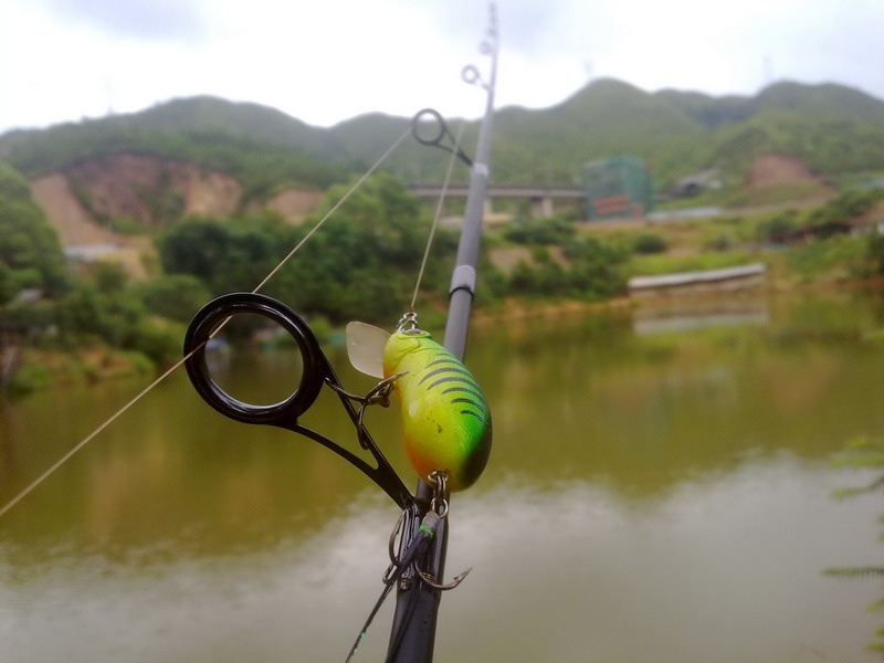 20130802122.jpg