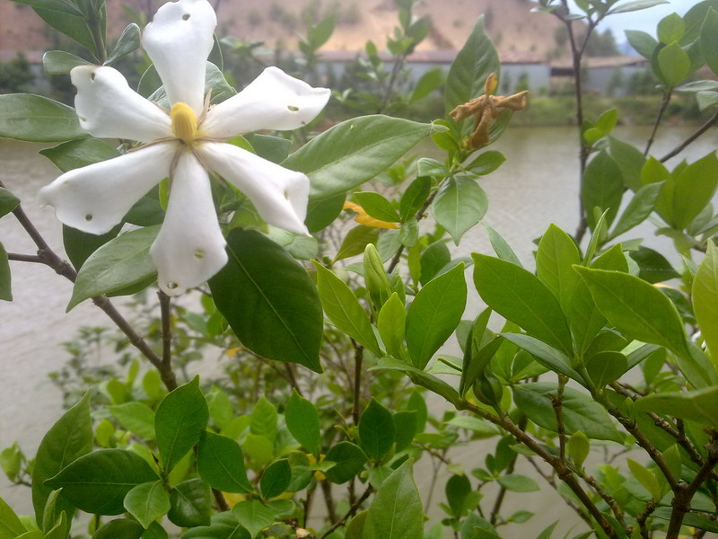 20130802133.jpg