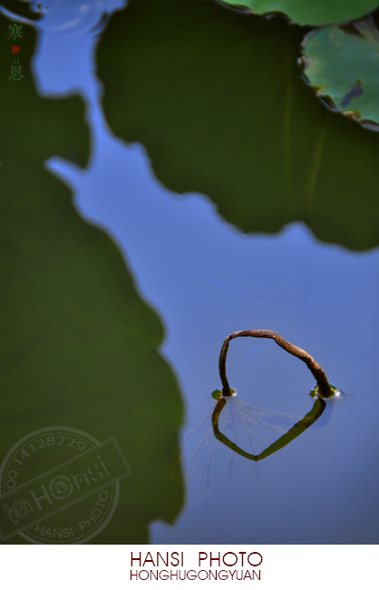 DSC_1042-sc.jpg