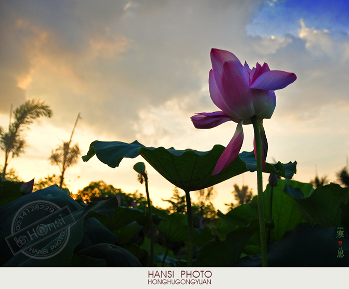 DSC_1116- sc.jpg