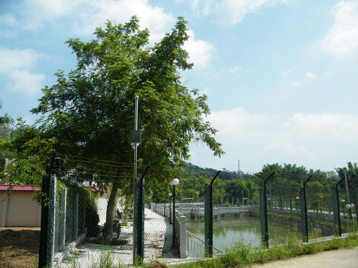 DSCF6423.JPG