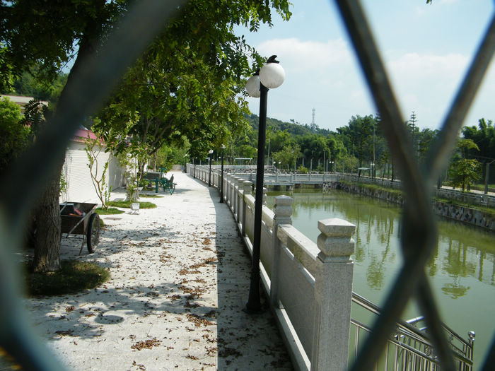 DSCF6425.JPG
