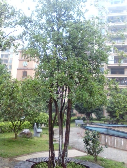 ]B4K)D2@3]_IFSB(ECO6CXX.jpg