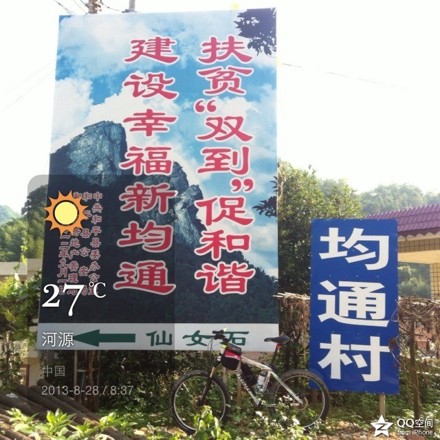 zd7.jpg