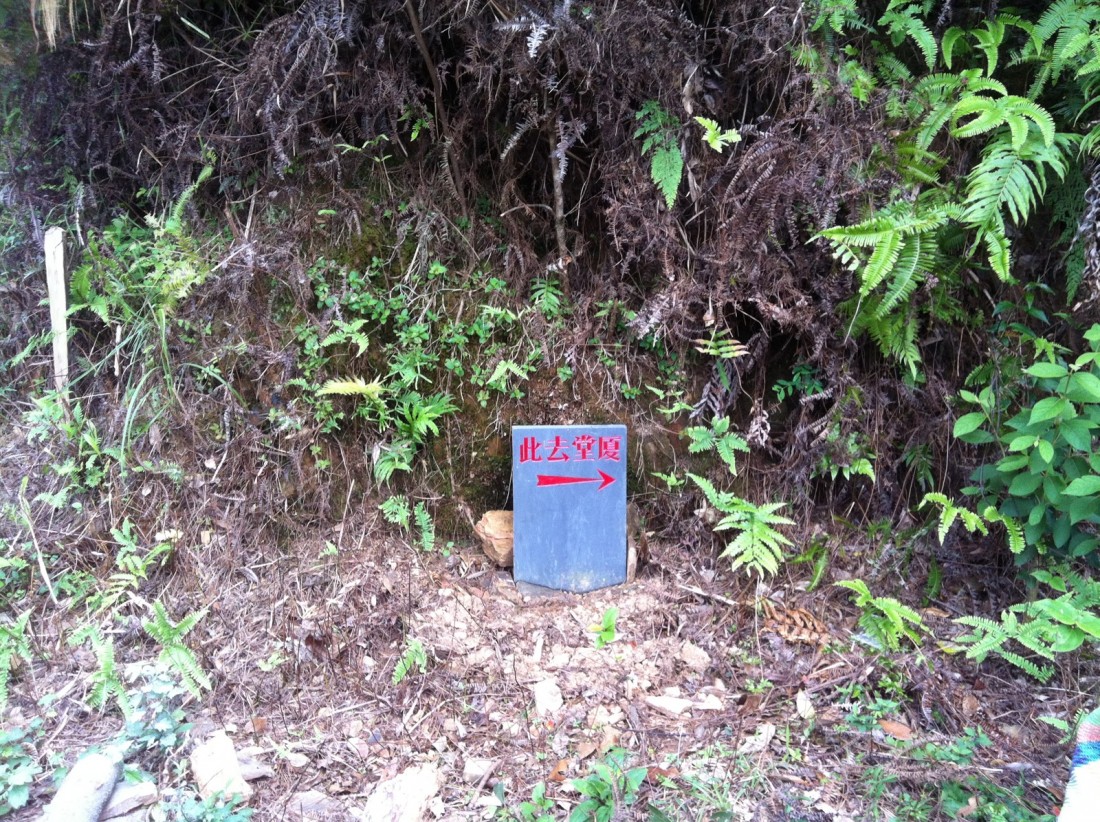 miao1.jpg