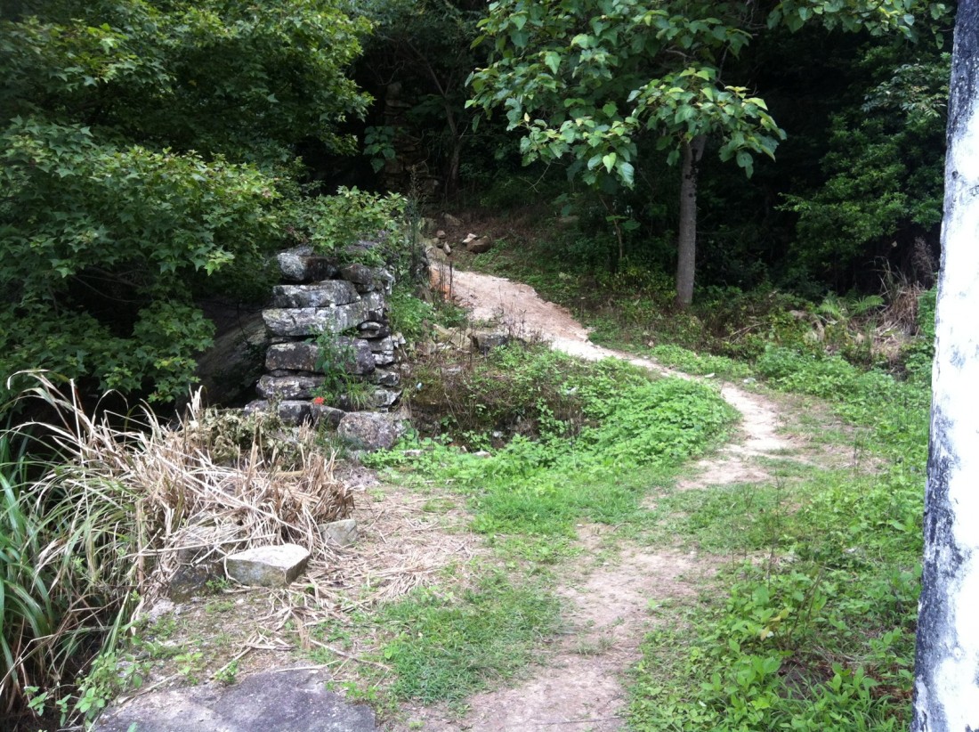 miao3.jpg