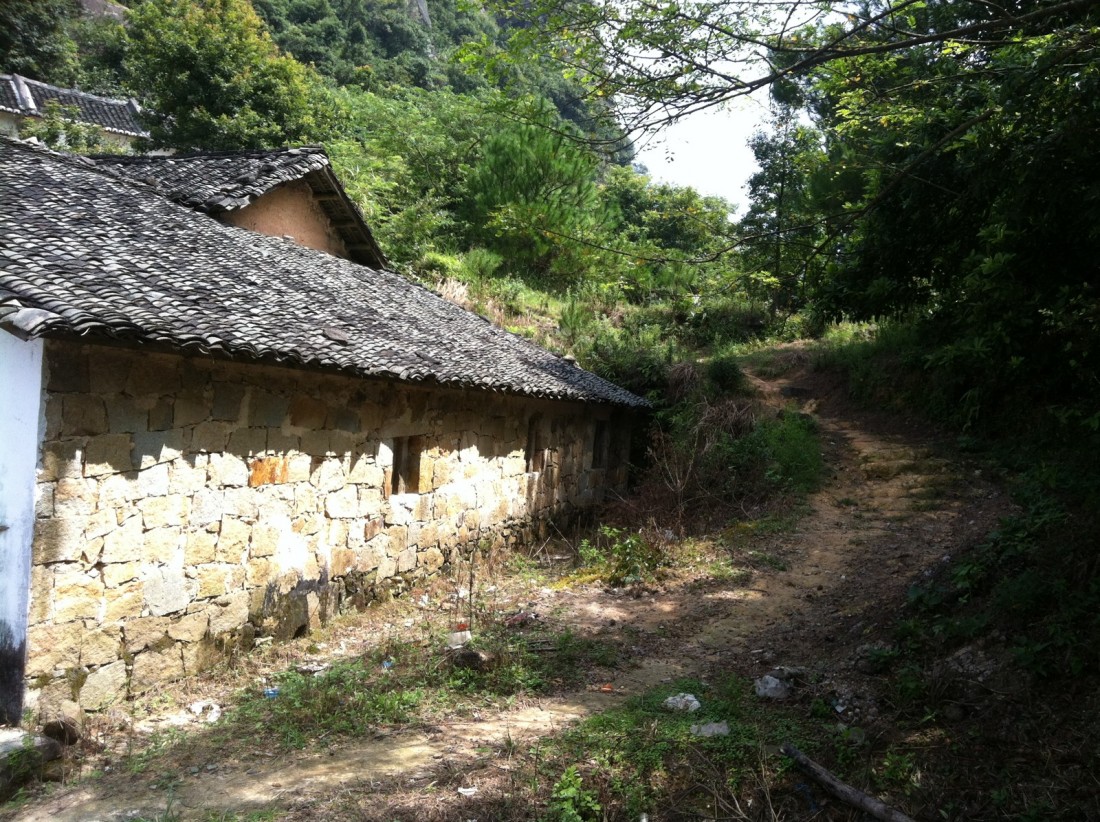 miao4.jpg