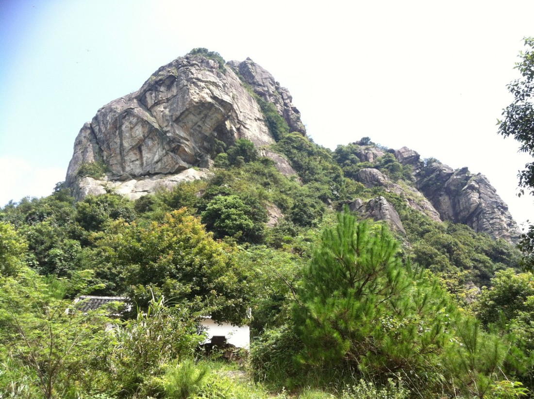 miao8.jpg