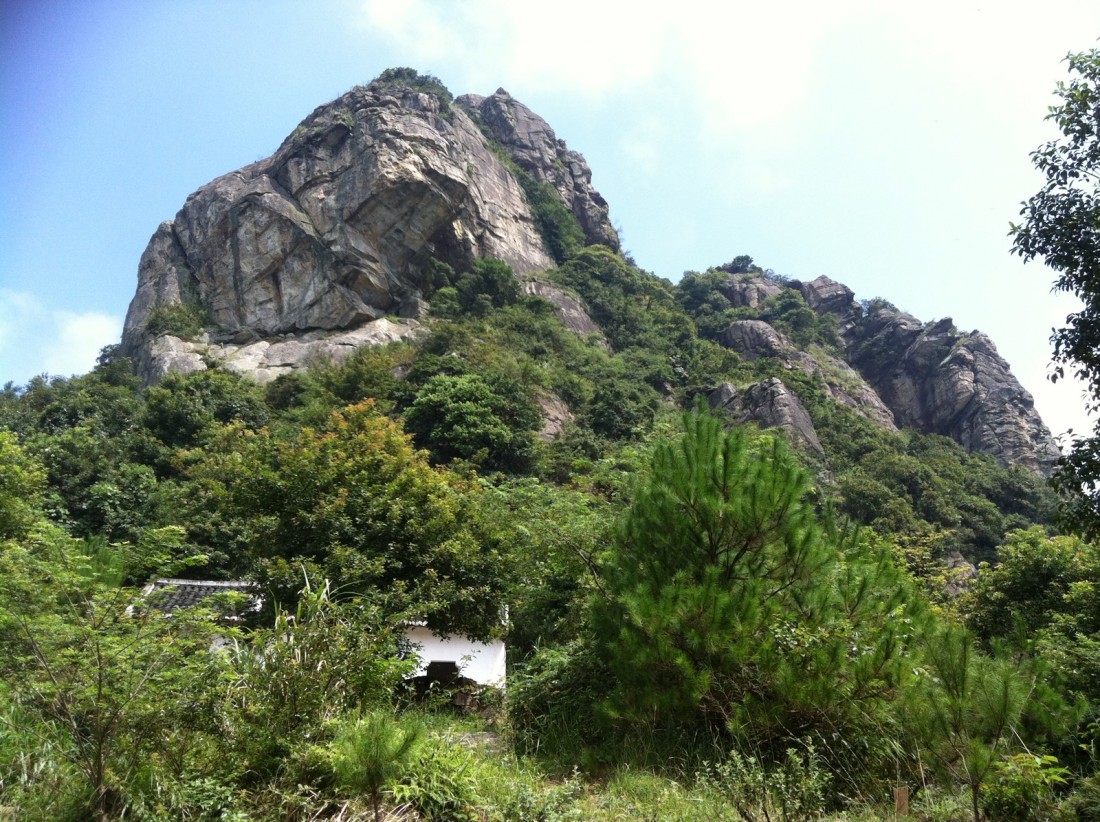 miao9.jpg