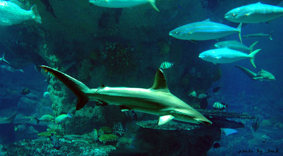 2010081609442921.jpg