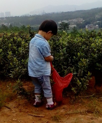 QQͼƬ20130907162122.jpg
