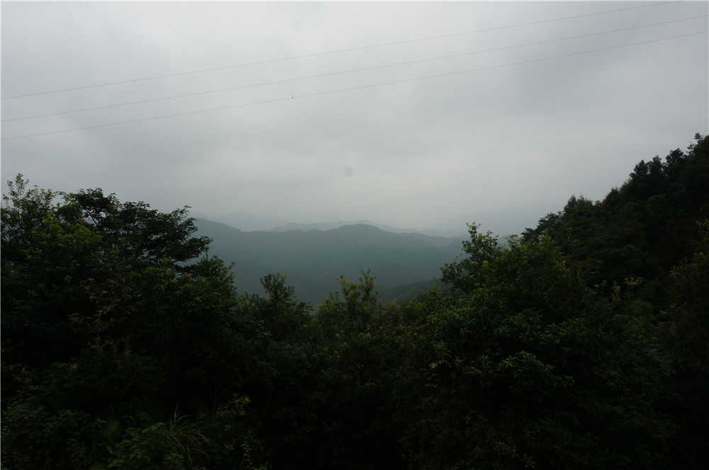 DSC09292.jpg