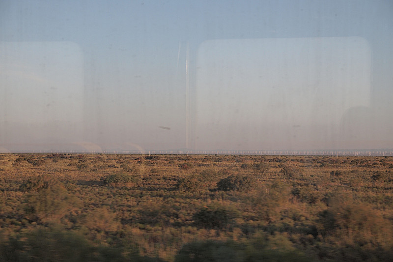 P8080107_.jpg