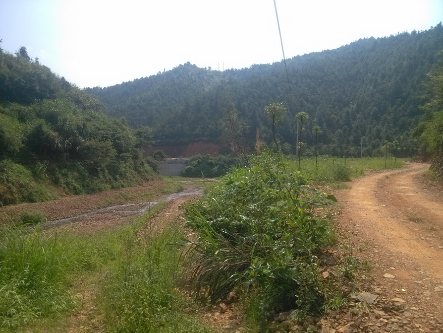 IMG_20130910_102616.JPG