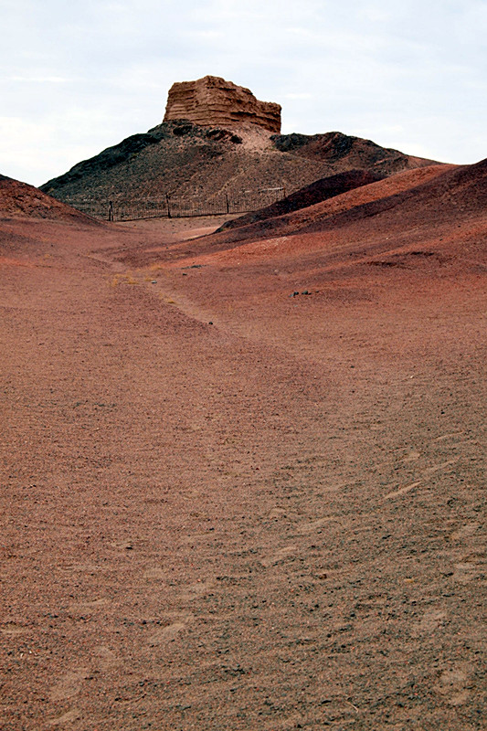 P8170834_.jpg
