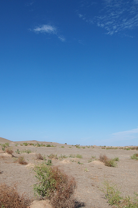 P8171123_.jpg