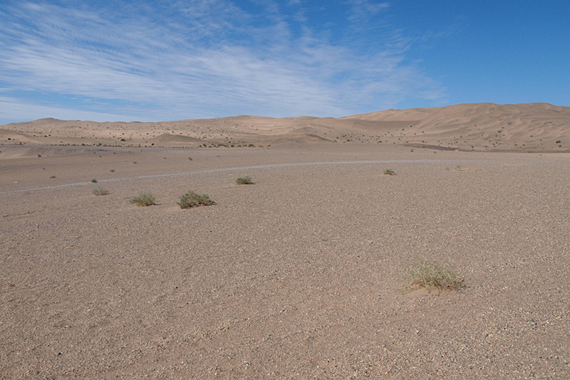 P8241751_.jpg