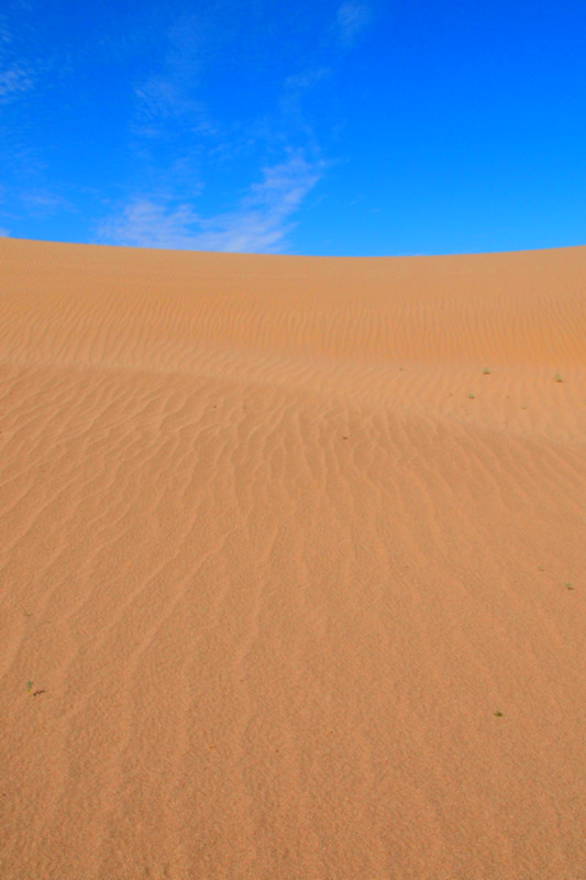 P8241776_.jpg