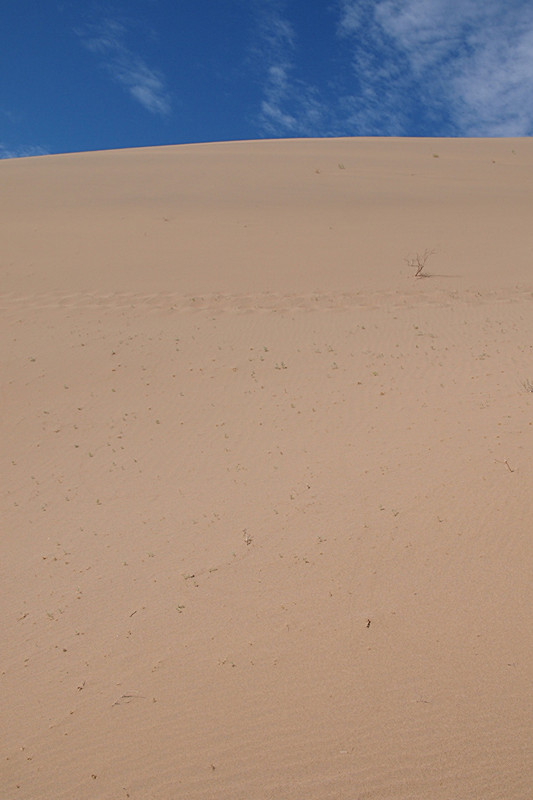 P8241855_.jpg