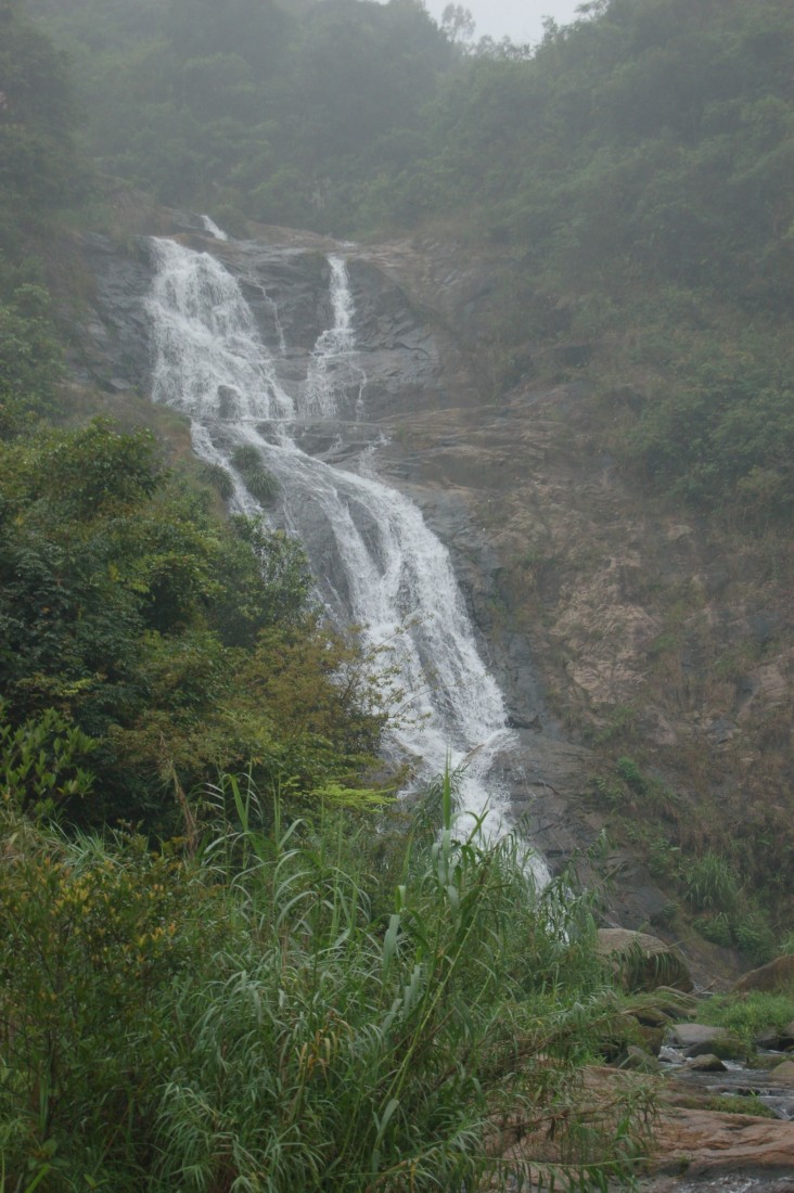 DSC_1786.JPG