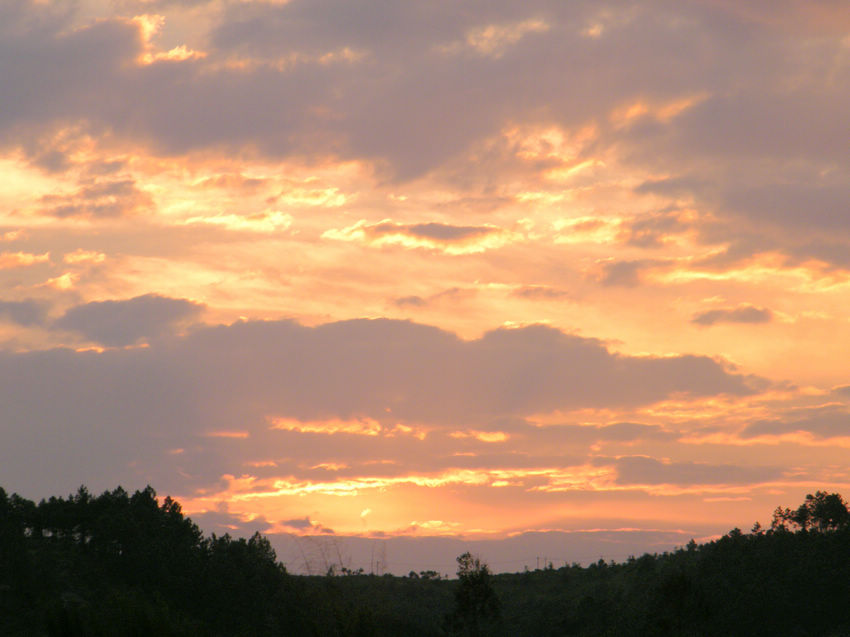 DSCF6013.JPG