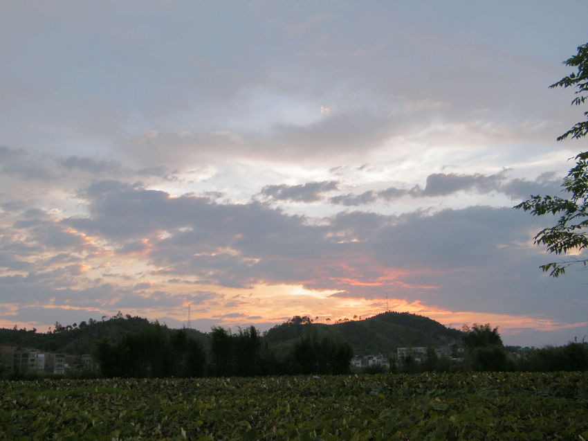 DSCF6017.JPG