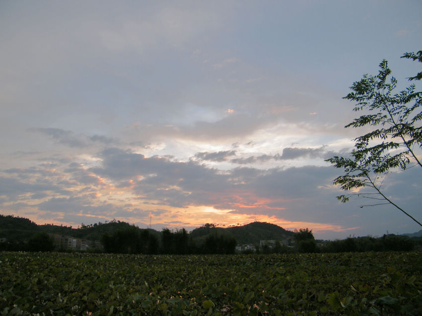 DSCF6016.JPG