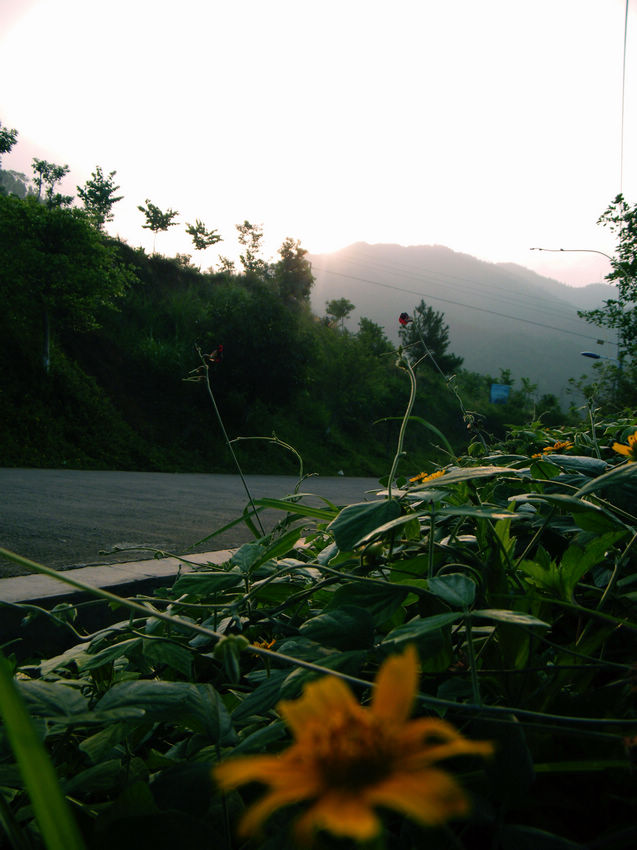 DSCF6009.JPG
