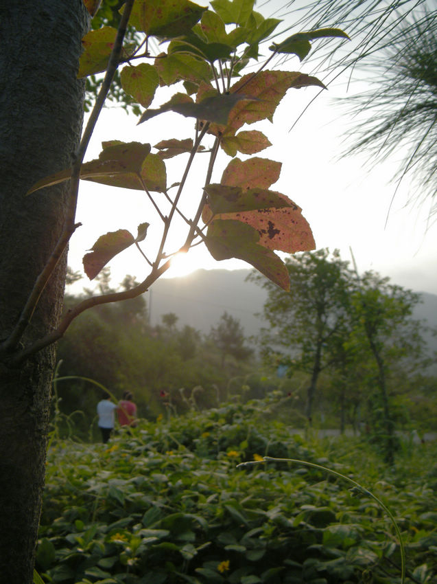 DSCF6014.JPG