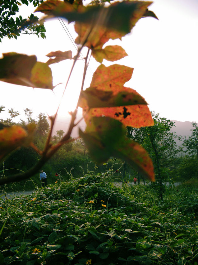 DSCF6022.JPG