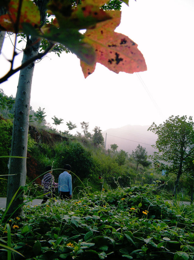 DSCF6030.JPG