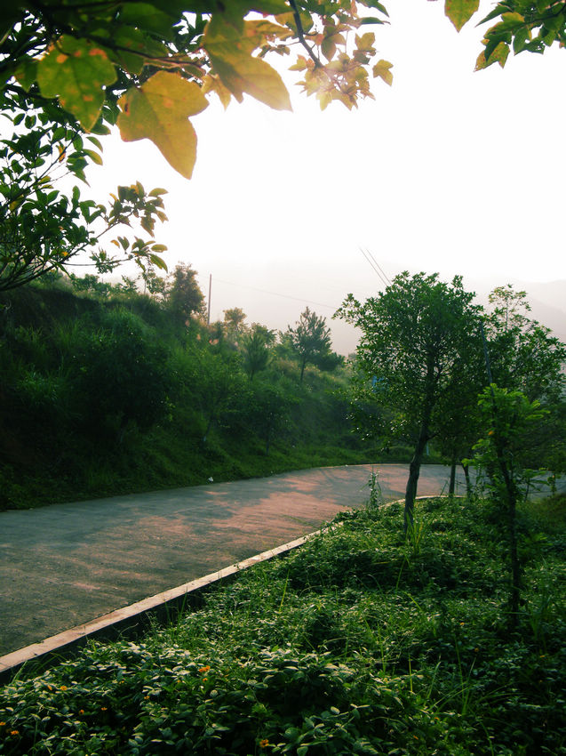 DSCF6040.JPG