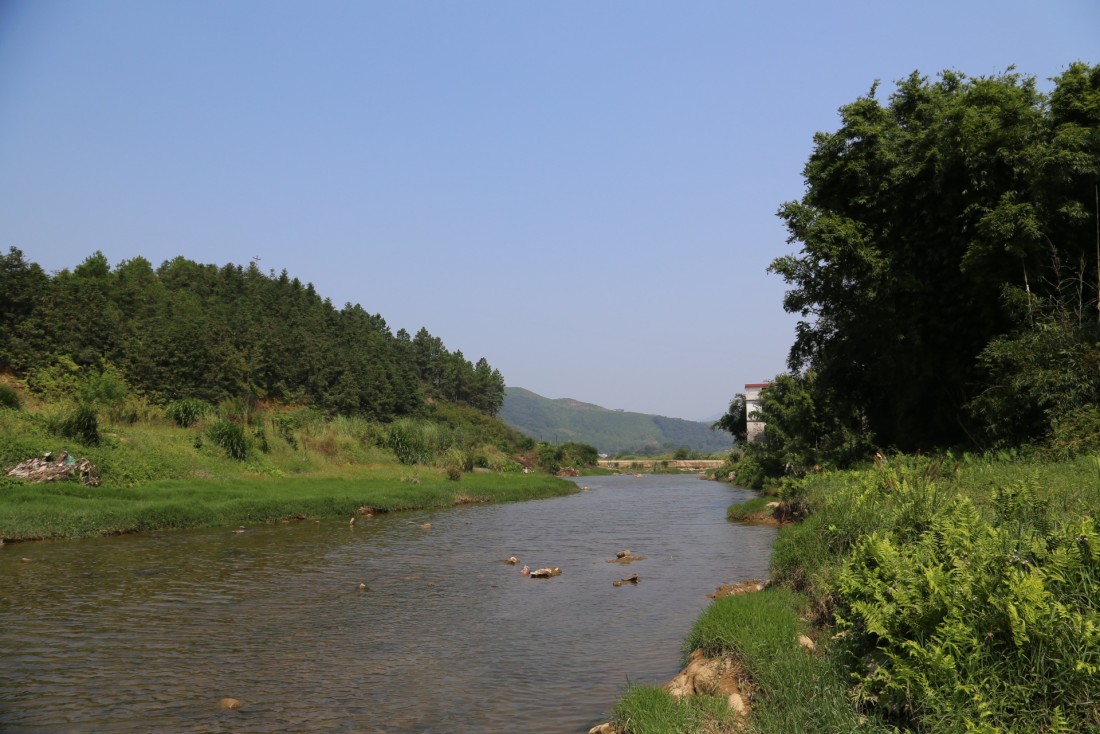 20131003.195702.JPG