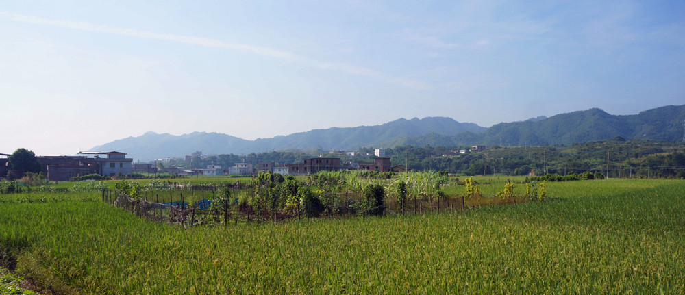 DSC09844.jpg