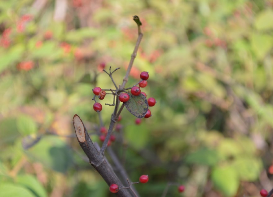 QQͼƬ20131013224334.jpg