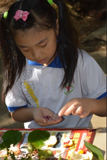QQͼƬ20131013232659.jpg