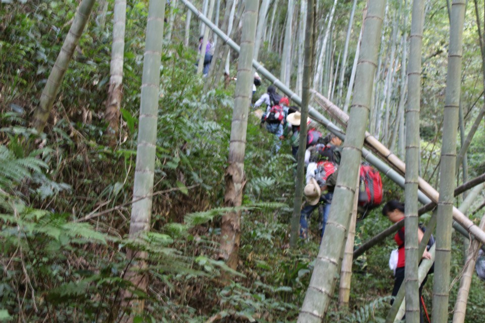 QQͼƬ20131014101305.jpg