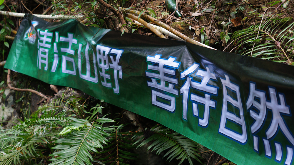 DSC01346.jpg