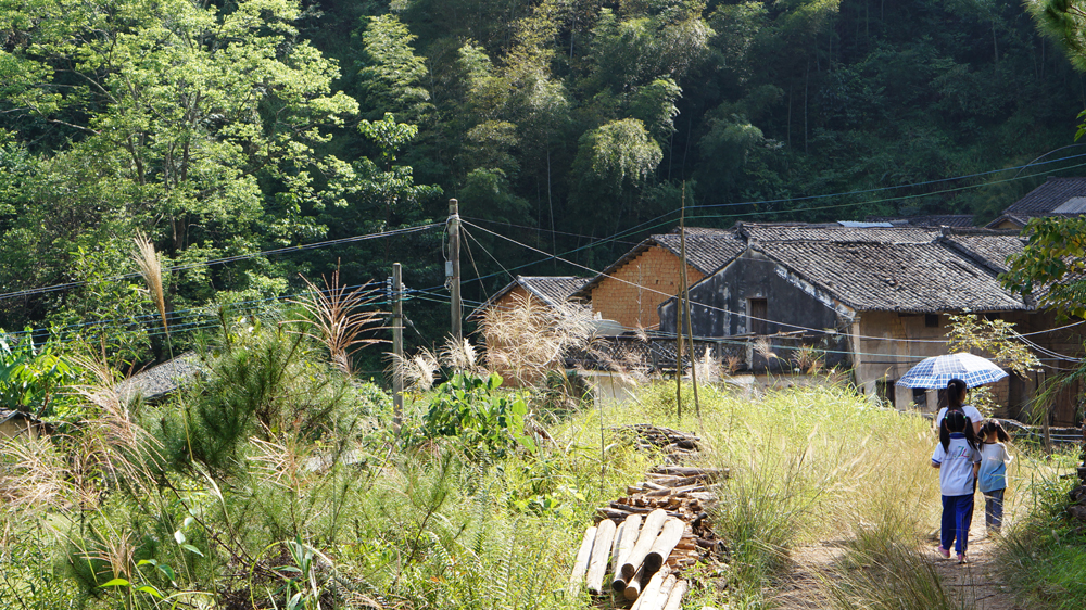 DSC01360.jpg