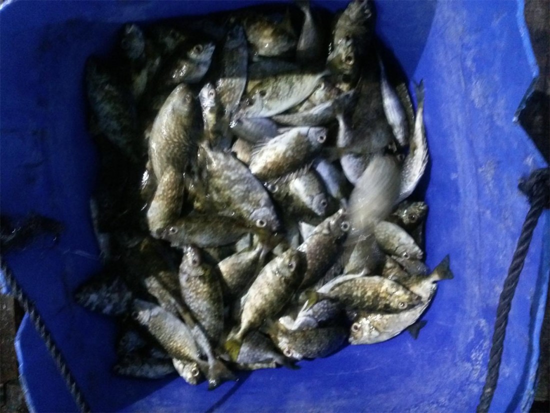 20131013_181038.jpg