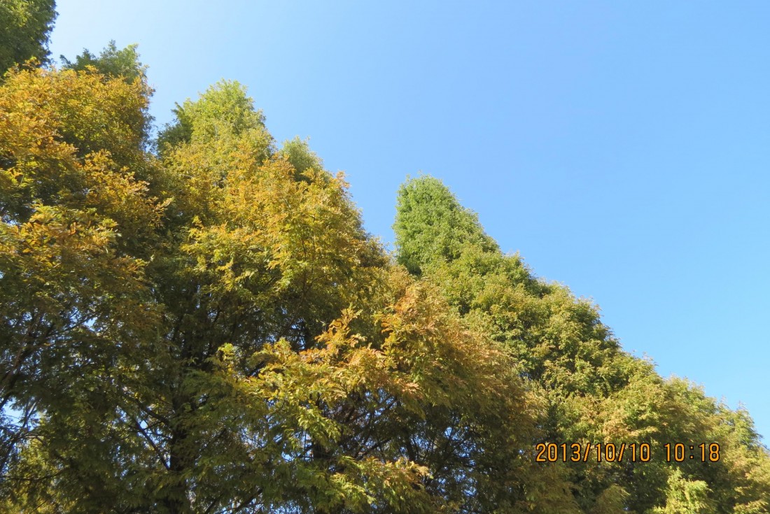 IMG_1110.JPG